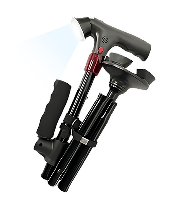 Smart Cane